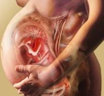Запори при вагітності