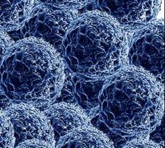створені полімерні наночастинки, здатні вбивати ракові клітини